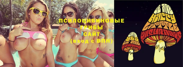 первитин Гусь-Хрустальный