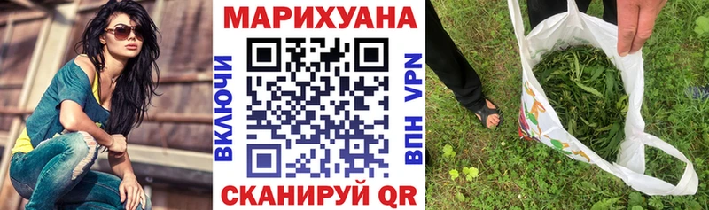 Купить закладки  Каменногорск  Бошки марихуана THC 21% 